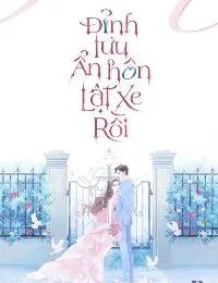 Truyện Đỉnh Lưu Ẩn Hôn Lật Xe Rồi - Ma An