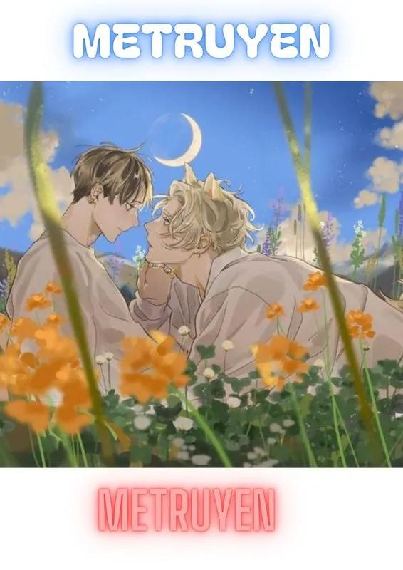 Truyện Đóa Hoa Nở Muộn