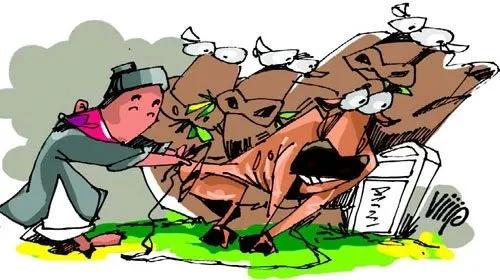 Truyện Ðổi bò gầy lấy bò béo - Truyện Cổ Tích