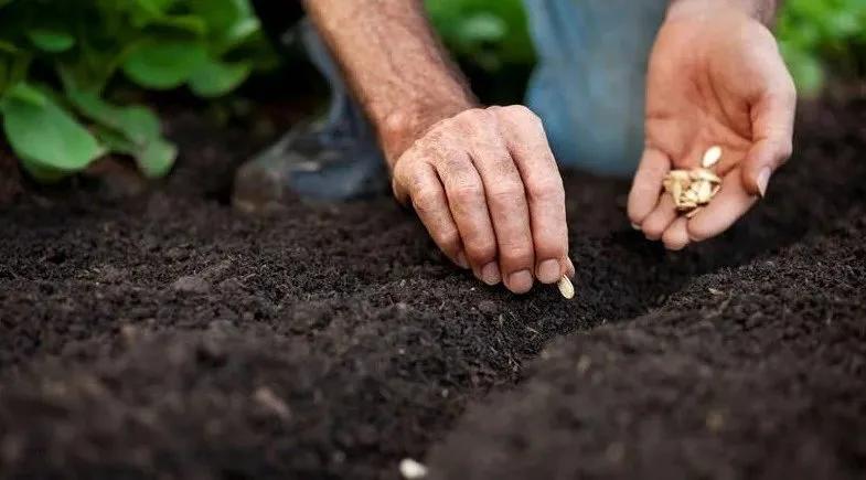 Truyện Dừng lại, cúi xuống và nhặt lấy yêu thương - Truyện Cổ Tích