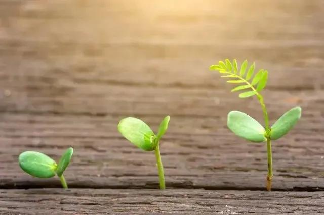 Truyện Giá trị của cuộc sống - Truyện Cổ Tích