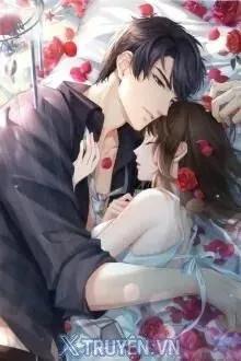Truyện Hai Chúa Tể Độc Thân - Sanh Trà
