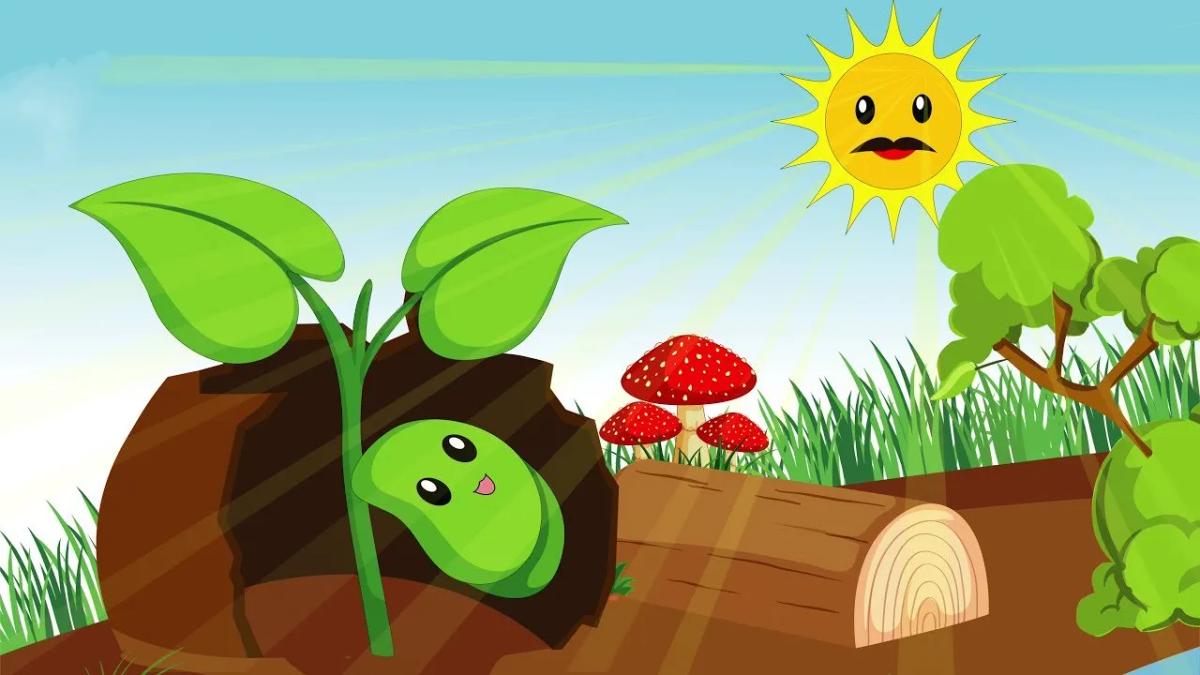 Truyện Hạt đậu thơm - Truyện Cổ Tích