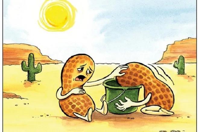 Truyện Khôn ra - Truyện Cổ Tích