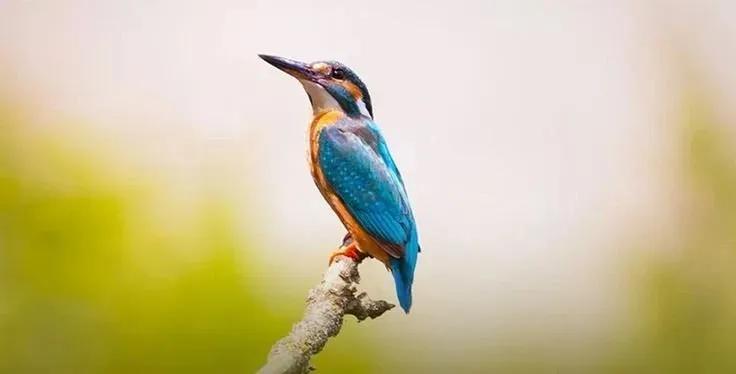 Truyện Không bao giờ là quá trễ - Truyện Cổ Tích