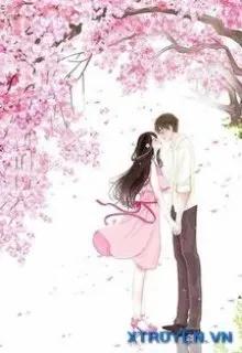 Truyện Không Phải Là Boss! Anh Là Của Em - Meishine