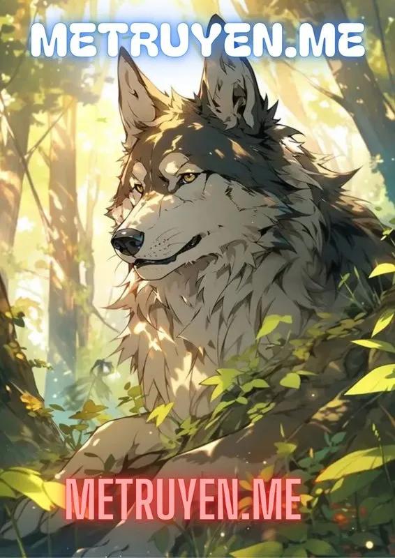 Truyện Làm Một Husky Trong Bầy Sói - THẬP TAM NGUYỆT