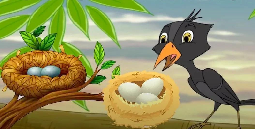 Truyện Loài chim học xây tổ - Truyện Cổ Tích