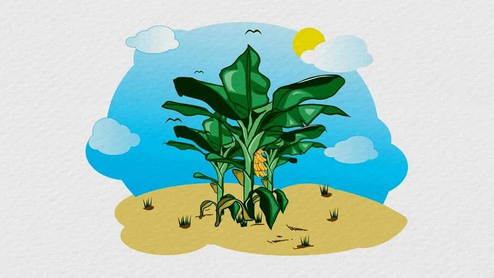 Truyện Mẹ con nhà Chuối - Truyện Cổ Tích