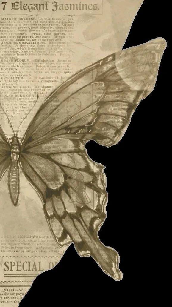 Truyện Những Lời Chưa Nói - thanhlan