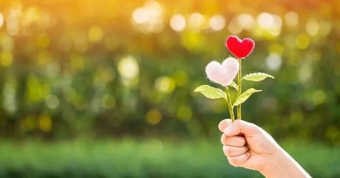 Truyện Sự yêu thương dẫn đường - Truyện Cổ Tích