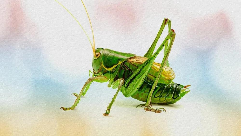 Truyện Tai ai thính nhất? - Truyện Cổ Tích