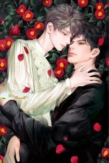 Truyện VÙNG CẤM HOA HỒNG - THIÊN PHI - Thiên Phi