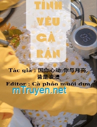 Tình Yêu Gà Rán