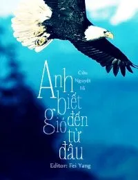 Truyện Anh Biết Gió Đến Từ Đâu - Cửu Nguyệt Hi