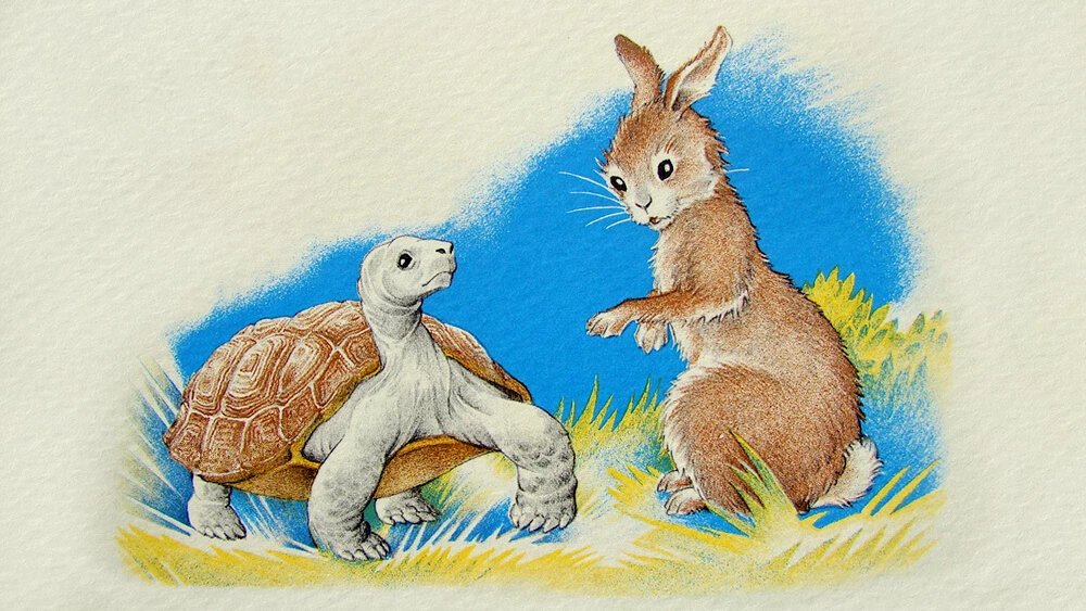 Truyện Bà Rùa ấy - Truyện Cổ Tích