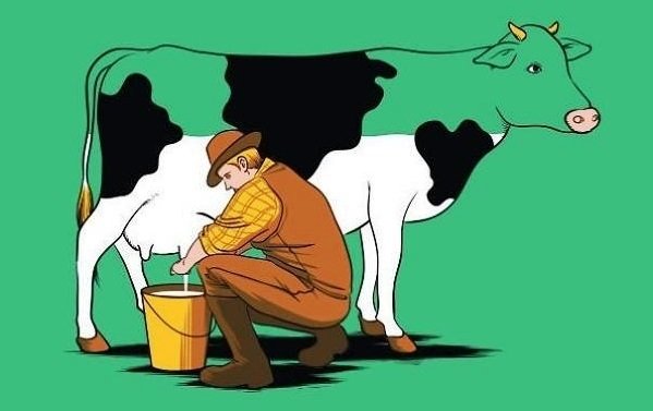 Truyện Bài học thức tỉnh con người từ một con bò - Truyện Cổ Tích