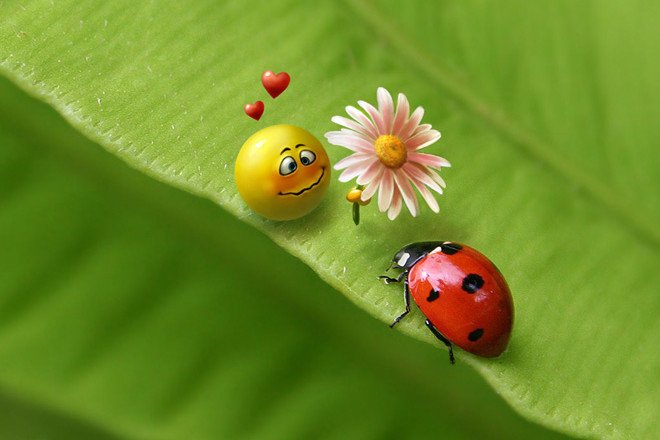 Truyện Bầu trời nức nở - Truyện Cổ Tích