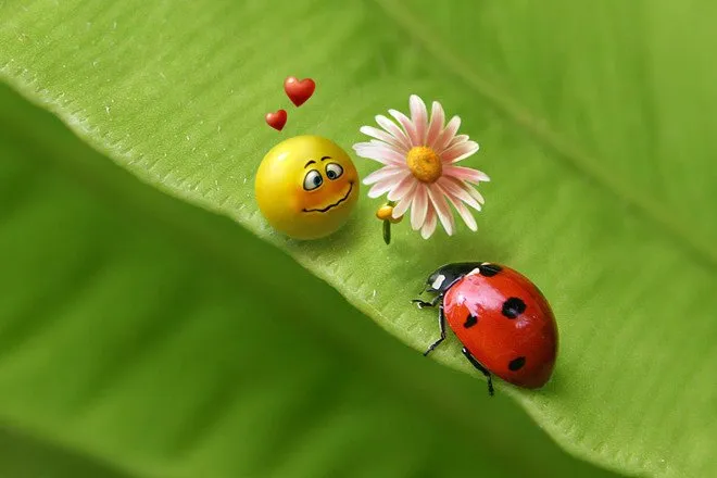 Truyện Bầu trời nức nở - Truyện Cổ Tích