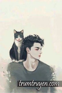 Truyện Bé Mèo Nghịch Ngợm Của Chủ Tịch - Habibi