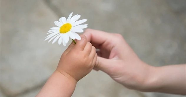 Truyện Biết ơn vạn bội - Truyện Cổ Tích