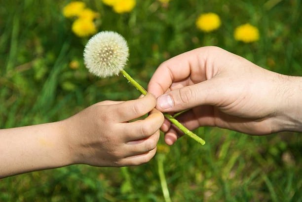 Truyện Bốn ngón tay - Truyện Cổ Tích