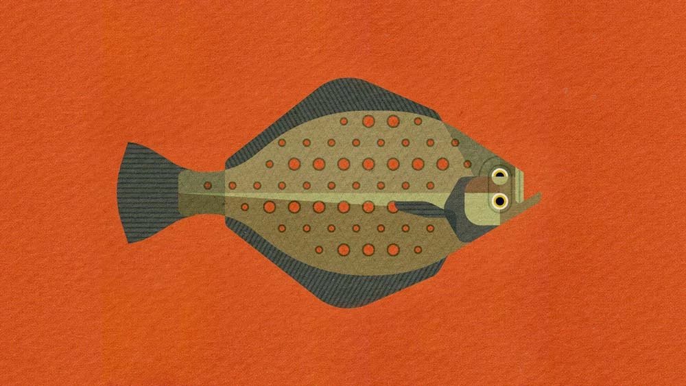 Truyện Cá gỗ - Truyện Cổ Tích