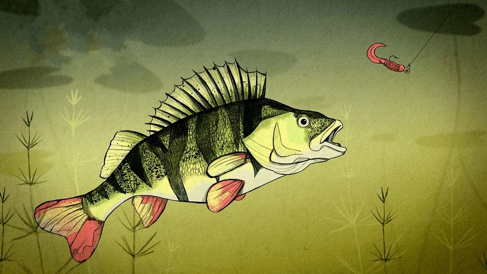 Truyện Cá Rô Ron không vâng lời mẹ - Truyện Cổ Tích