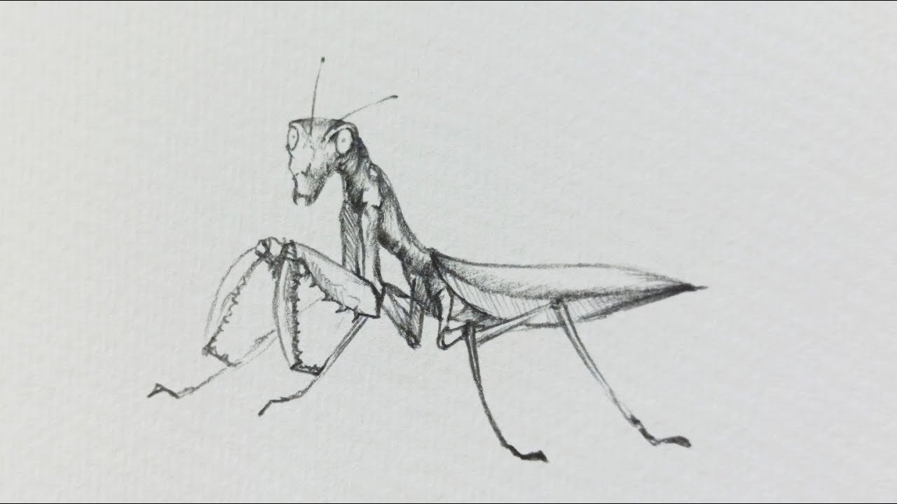 Truyện Cái áo hiệp sĩ - Truyện Cổ Tích