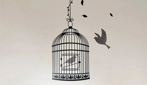 Truyện Cậu bé và chiếc lồng chim - Truyện Cổ Tích