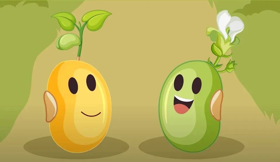 Truyện Câu chuyện của hai hạt mầm - Truyện Cổ Tích