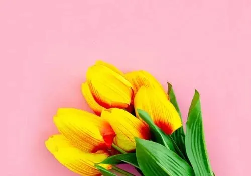 Truyện Câu chuyện tình yêu #2 - Truyện Cổ Tích