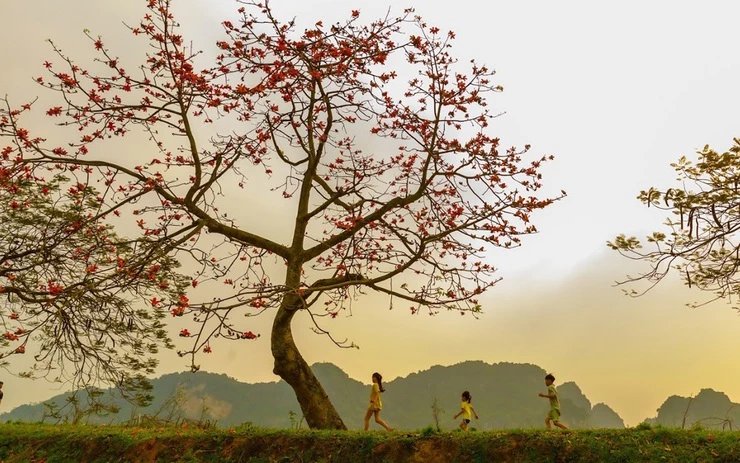 Truyện Cây gạo bên hồ - Truyện Cổ Tích