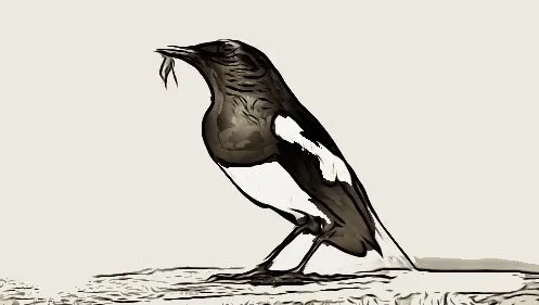 Truyện Chích chè! Chích chè che! - Truyện Cổ Tích