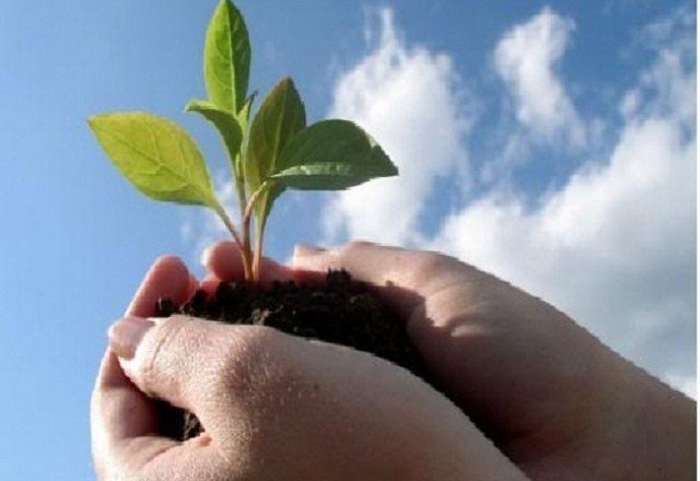 Truyện Chiếc bát vỡ - Truyện Cổ Tích