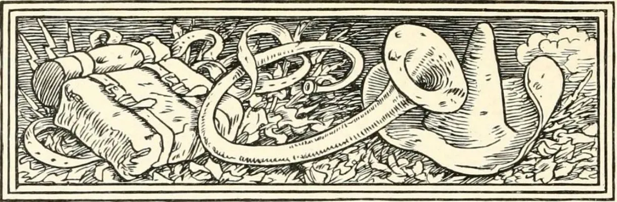 Truyện Chiếc túi dết, chiếc mũ, cái tù và bằng sừng - Truyện Cổ Tích