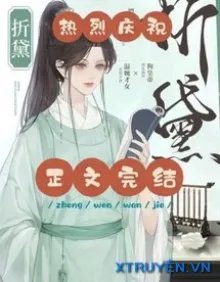 Truyện Chiết Đại - Phiêu Lượng Thiểm Quang