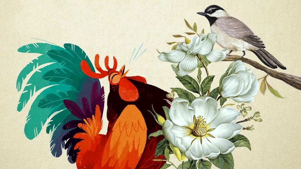 Truyện Chim và Gà - Truyện Cổ Tích