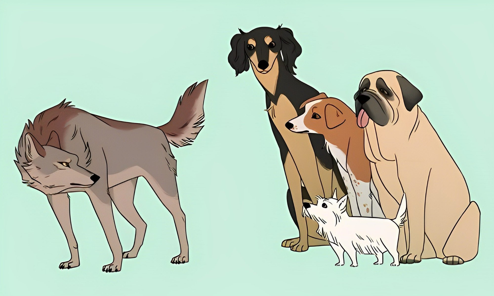 Truyện Chó nhà và chó sói - Truyện Cổ Tích