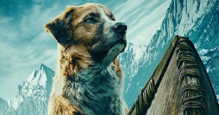 Truyện Chú chó Bấc - Truyện Cổ Tích