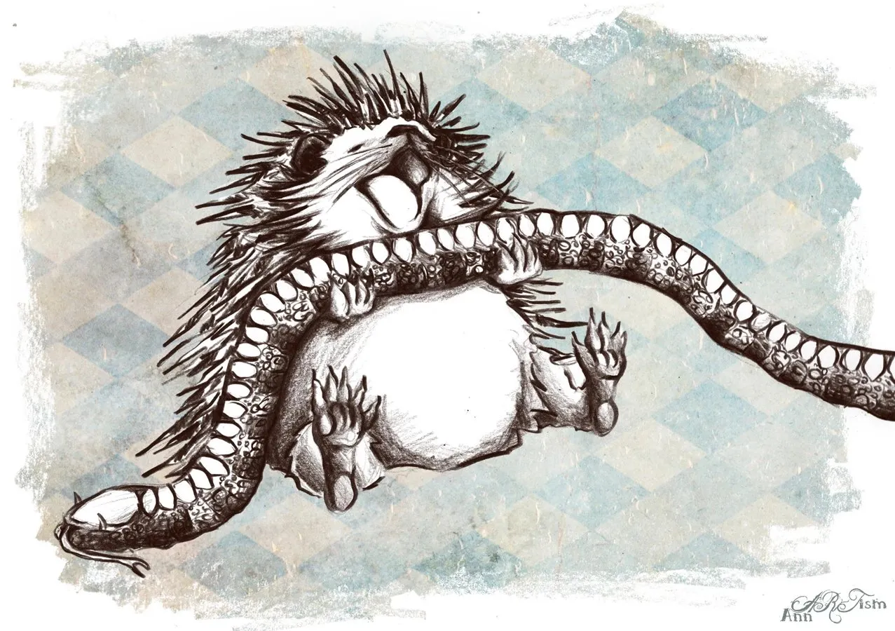 Truyện Con nhím và bầy rắn - Truyện Cổ Tích