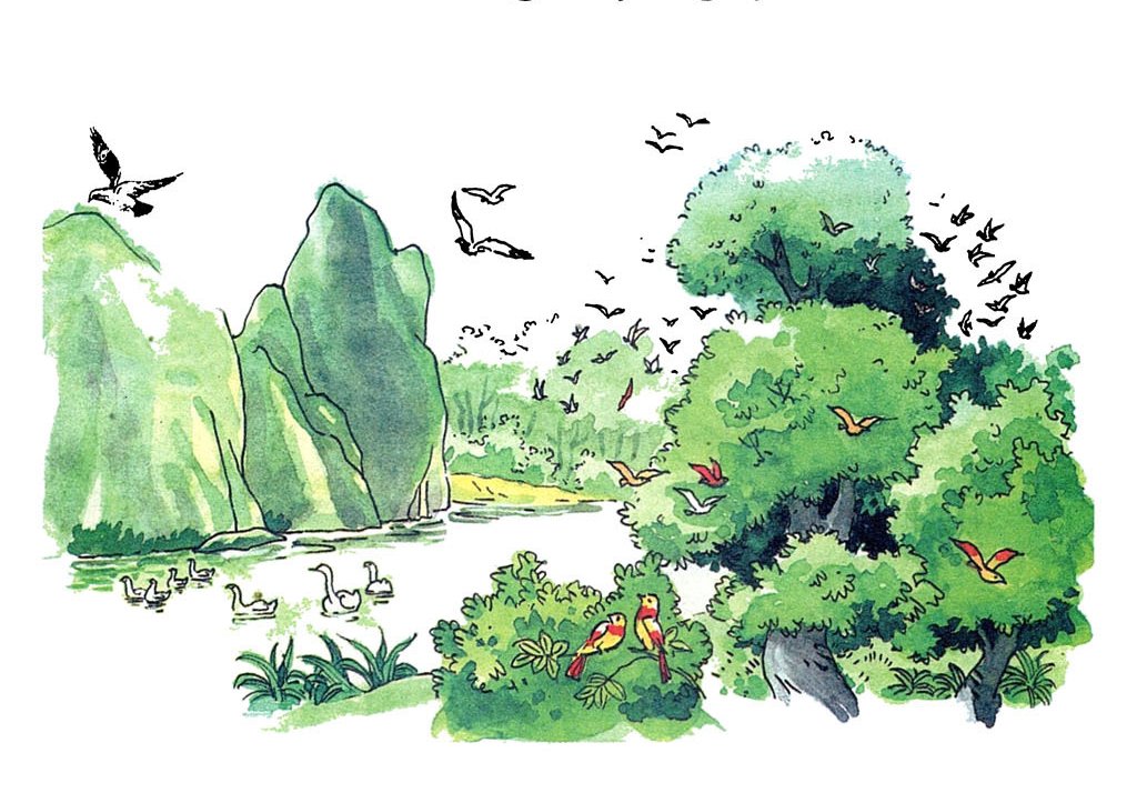 Truyện Cuộc họp của loài chim - Truyện Cổ Tích