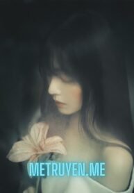 Truyện Cuộc Liên Hôn Thương Nghiệp Của Tôi Và Ảnh Đế Cố - Địa Cầu Chung Cực Bản Thụy Khắc