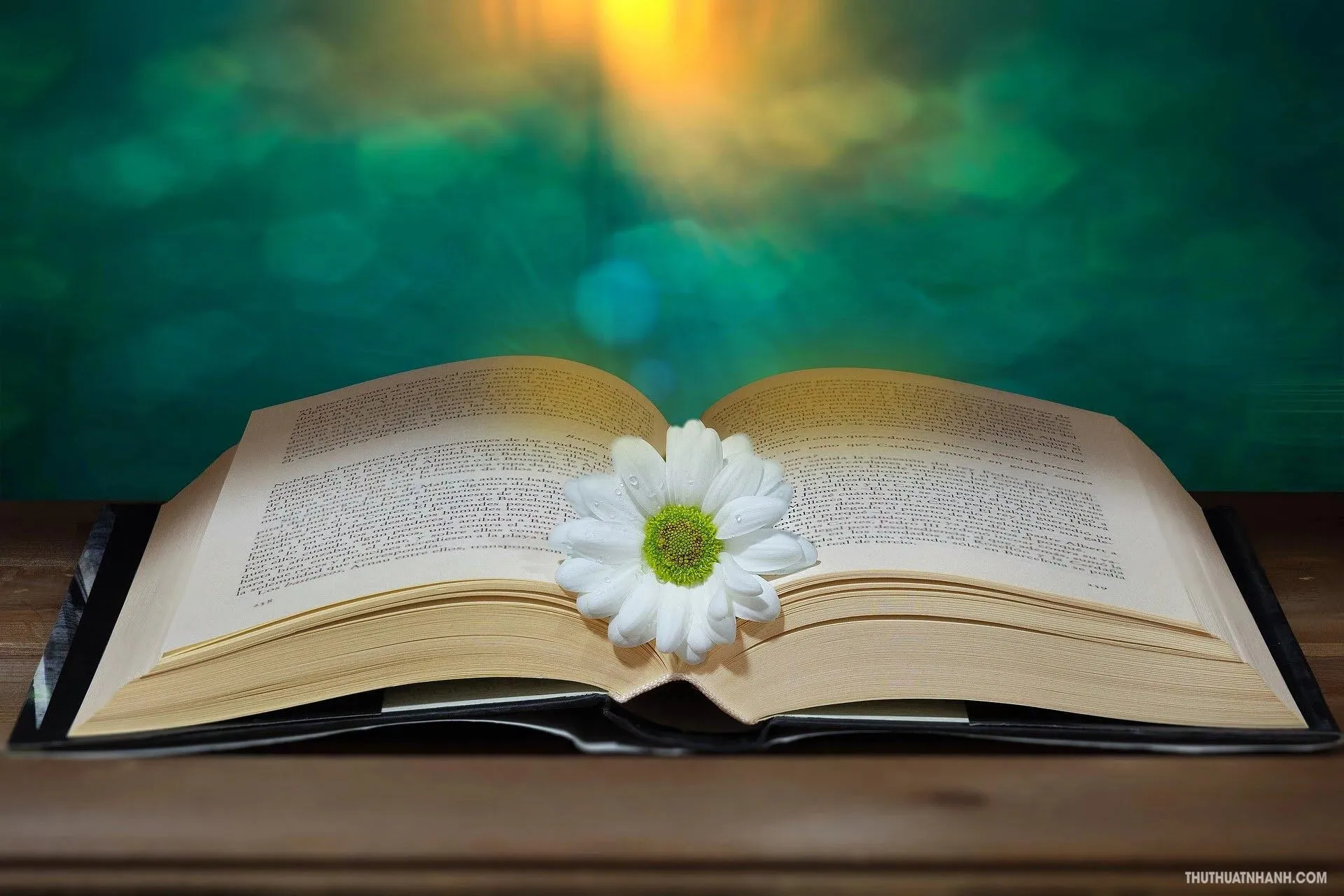 Truyện Cuốn sách và giỏ đựng than - Truyện Cổ Tích