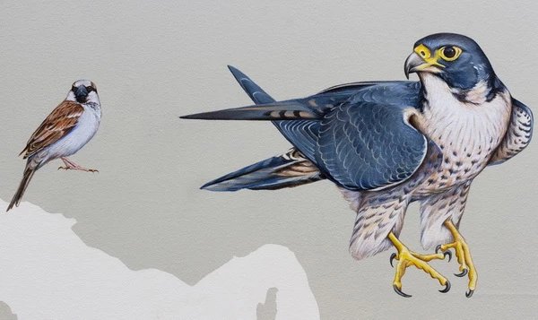 Truyện Đại Bàng và Con Chim Sẻ - Truyện Cổ Tích