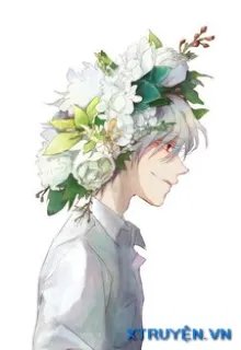 Truyện [ĐN BNHA] Nhật Ký Phản Động Anh Hùng