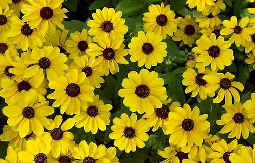 Truyện Đừng vội kết án - Truyện Cổ Tích