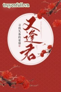 Truyện Gặp Lại Quân Tìm Kiếm Tình Yêu - Qidian