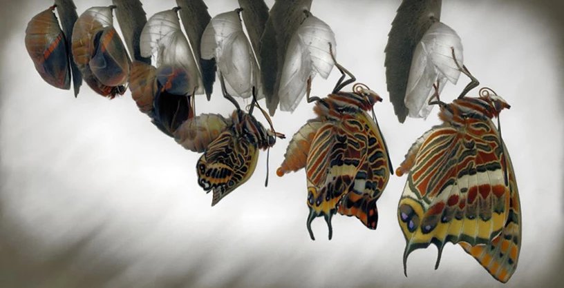 Truyện Giá trị của thử thách - Truyện Cổ Tích