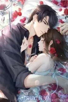 Truyện Hai Chúa Tể Độc Thân - Sanh Trà
